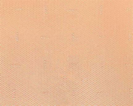 TOPY - VERATOP 6MM - SHEET